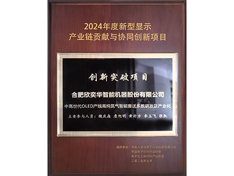 2024年度新型显示-创新突破项目