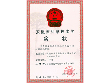 安徽省科学技术奖一等奖